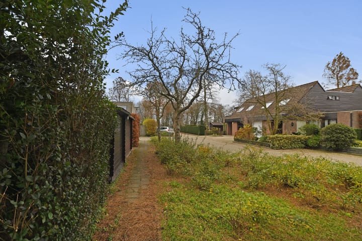 Foto 41 van Saffier 14