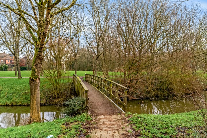 Foto 3 van Goudfazant 5