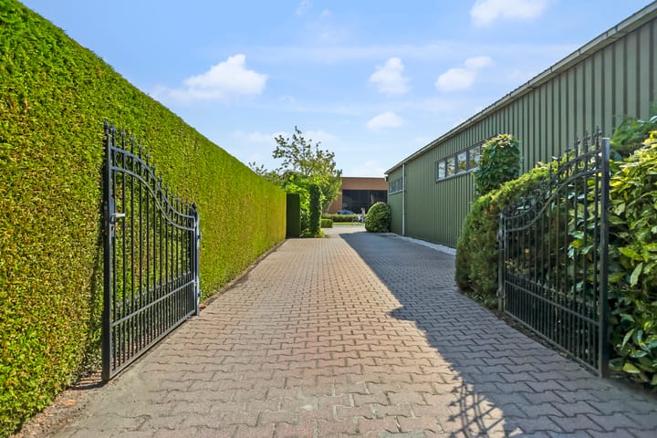 Foto 49 van De Amstel 18