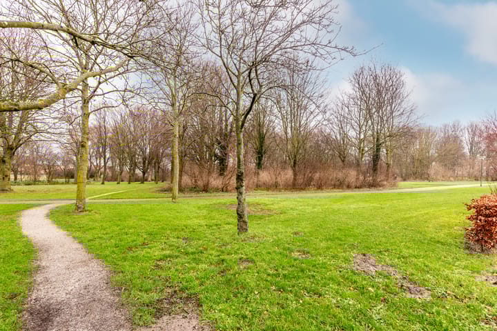 Foto 28 van Galjoen 29 10