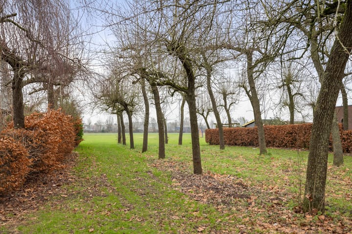 Foto 21 van Thorbeckestraat 89