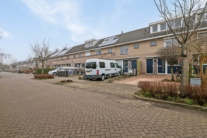 Foto 6 van Witkopeend 26