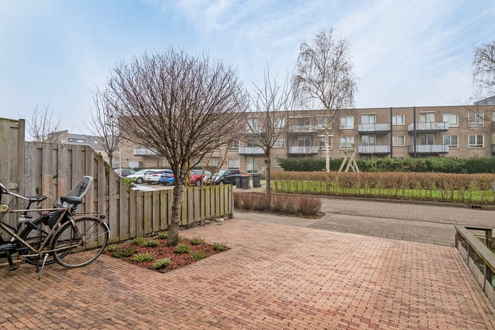 Foto 8 van Witkopeend 26