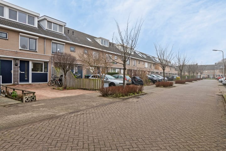 Foto 7 van Witkopeend 26