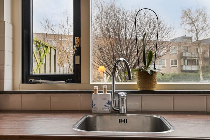 Foto 20 van Witkopeend 26