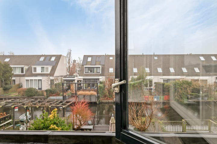 Foto 27 van Witkopeend 26