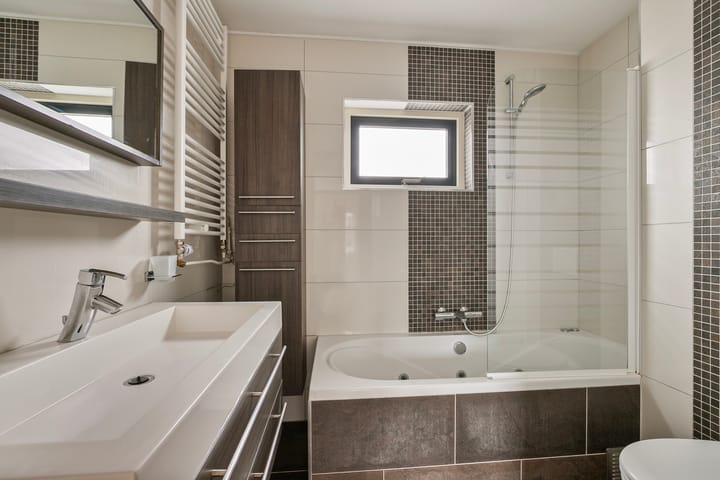 Foto 31 van Witkopeend 26