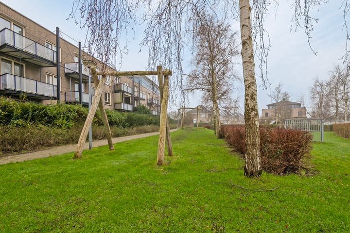 Foto 50 van Witkopeend 26