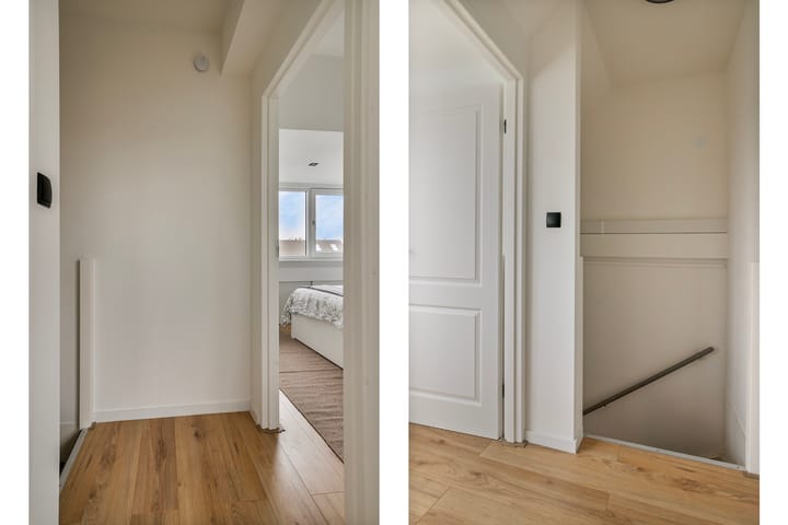 Foto 40 van Witkopeend 26