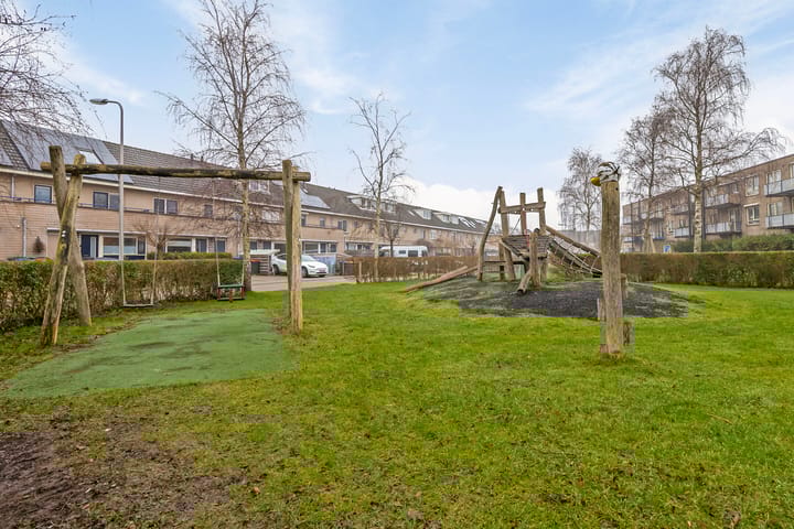 Foto 51 van Witkopeend 26