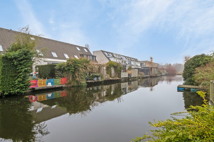 Foto 48 van Witkopeend 26