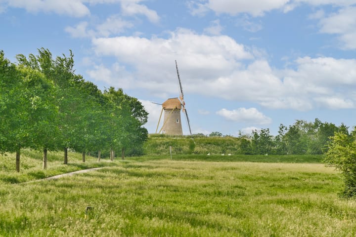 Photo 20 of Wilsonstraat 93