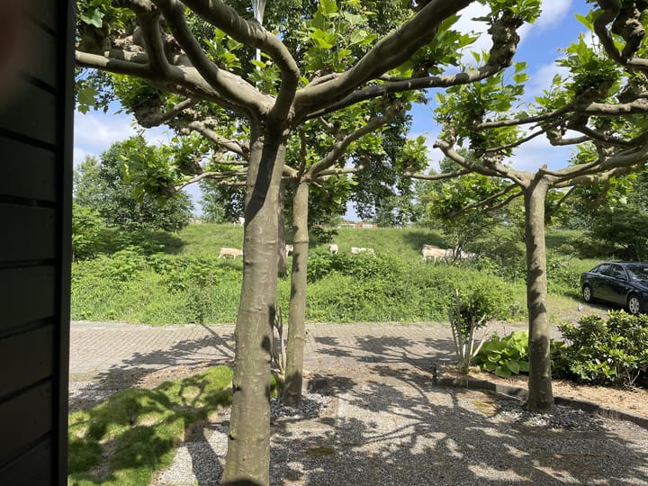 Photo 24 of Wilsonstraat 93