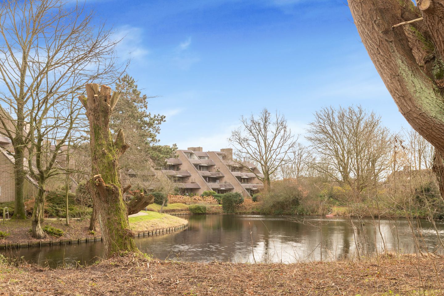 Foto 40 van Zeeweg 405