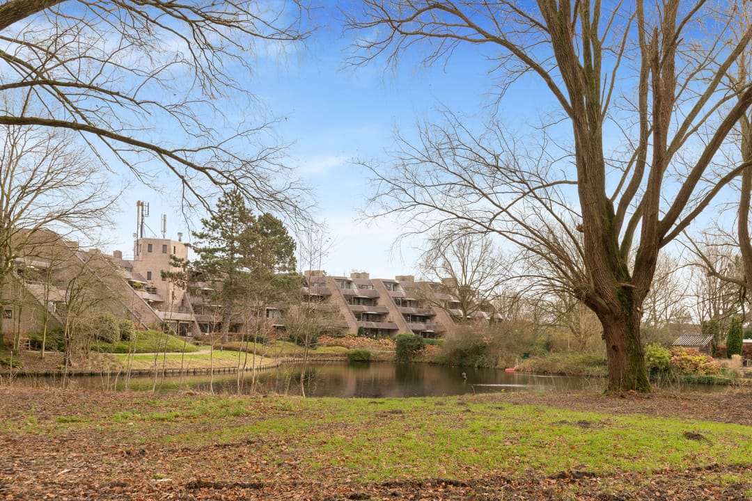 Foto 41 van Zeeweg 405