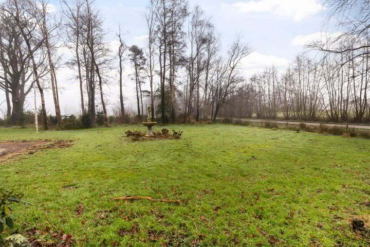 Foto 3 van De Trieme 37