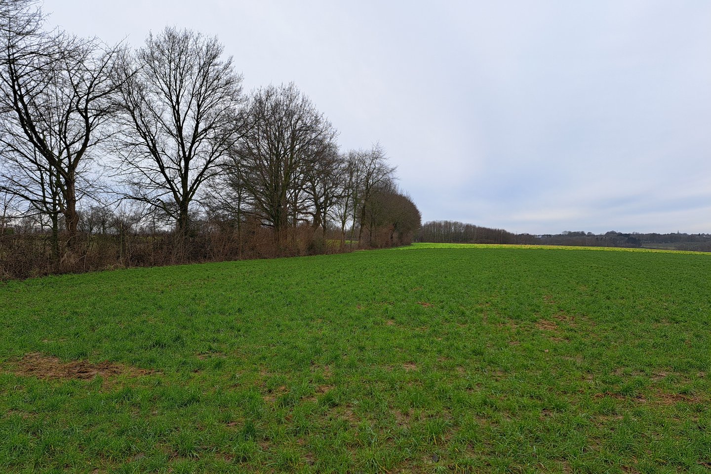 Bekijk foto 3 van Papehei/Mussenputsweg