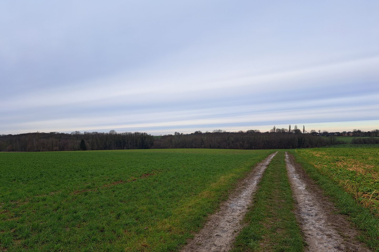 Bekijk foto 4 van Papehei/Mussenputsweg