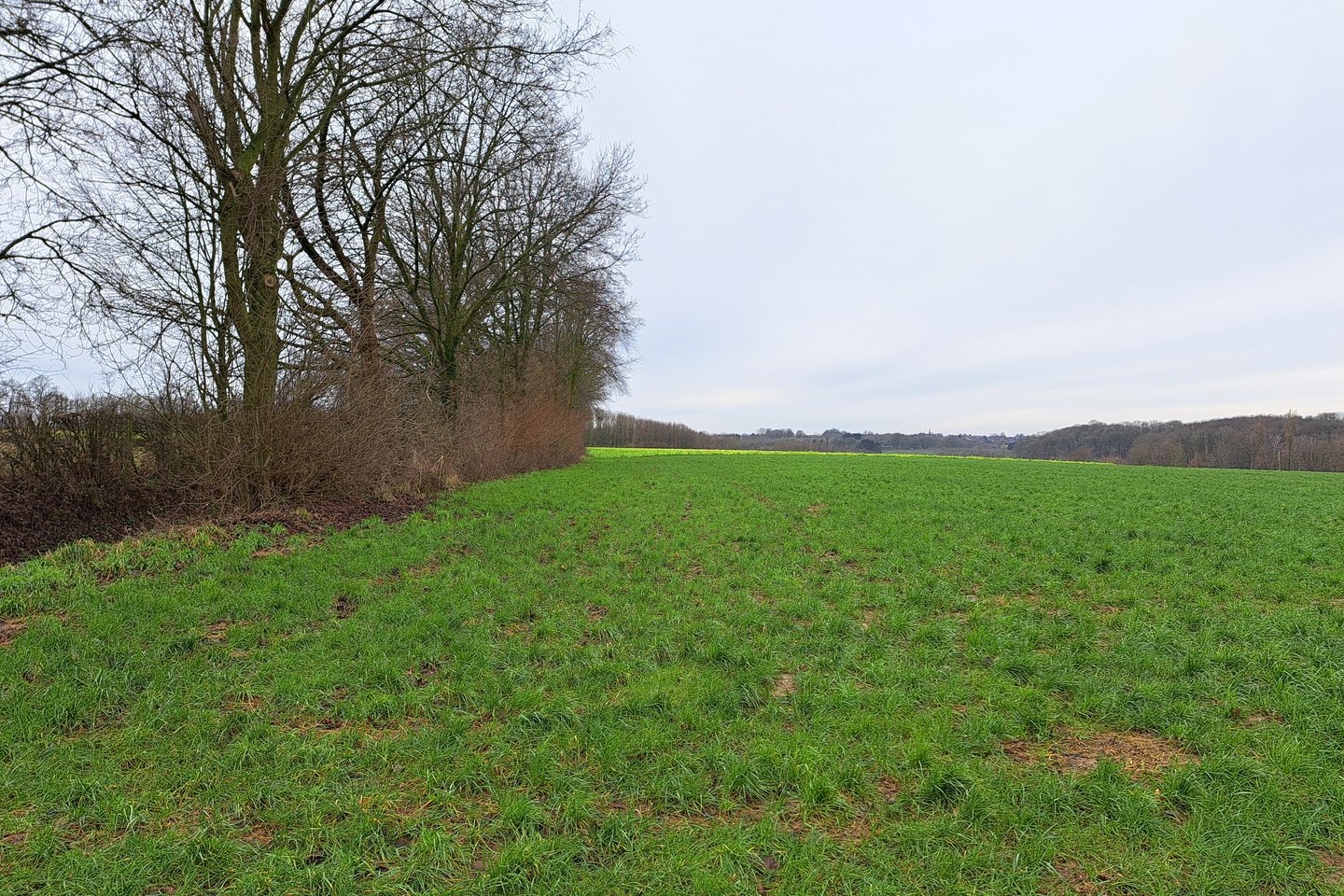 Bekijk foto 5 van Papehei/Mussenputsweg