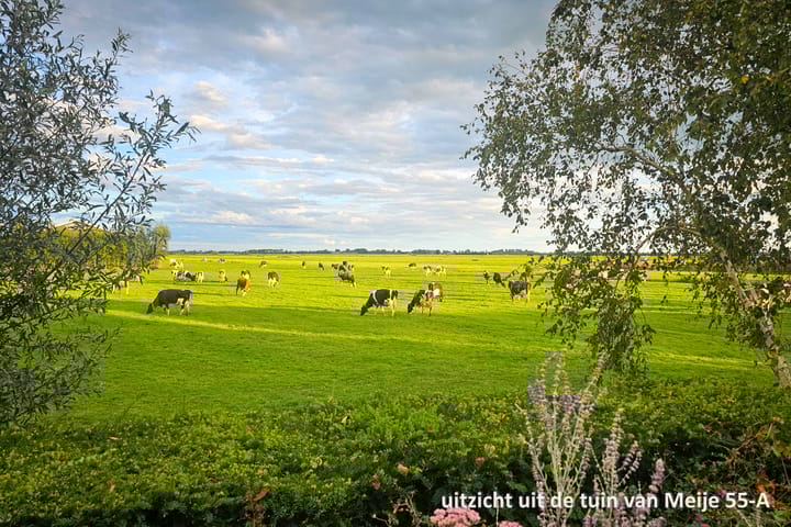 Foto 76 van Meije 55-A