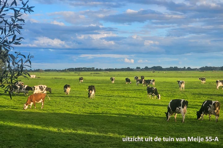 Foto 77 van Meije 55-A