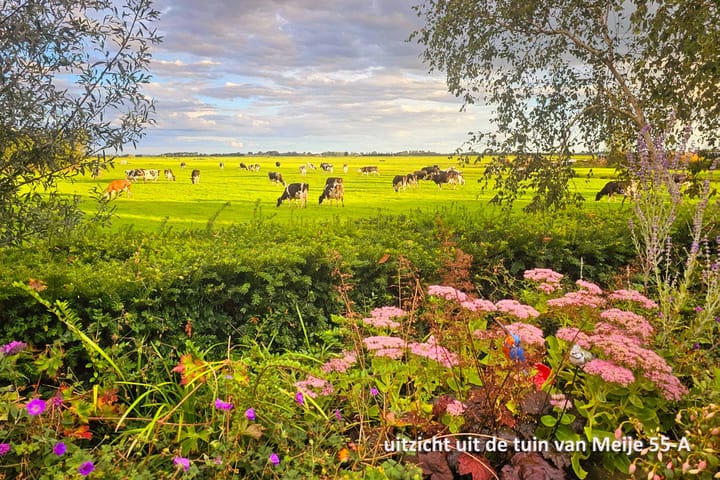 Foto 78 van Meije 55-A