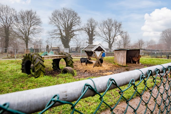 Foto 41 van Scheerderslaan 21