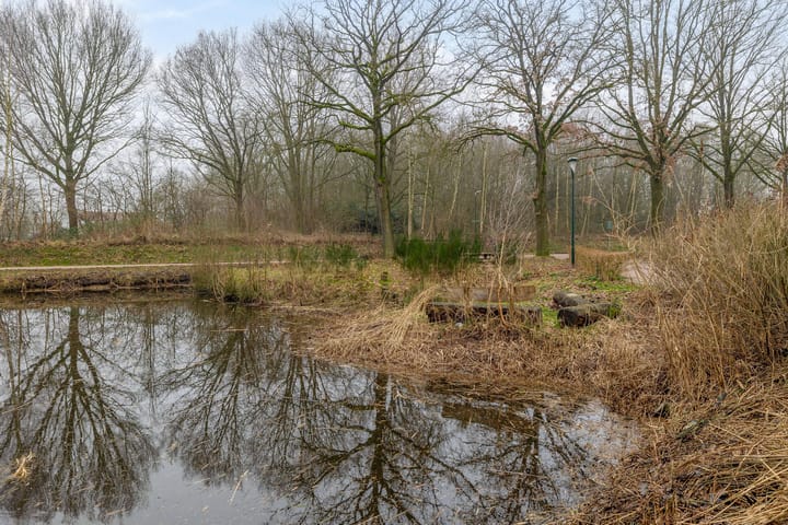 Foto 28 van Steenbok 32