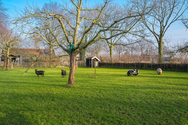 Foto 60 van Plataanweg 19