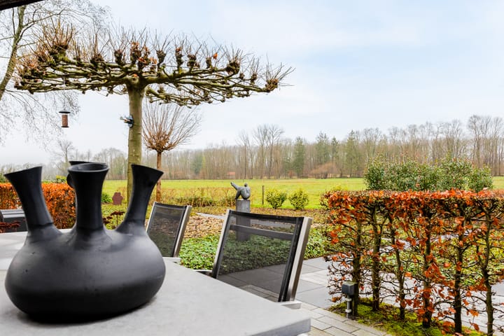 Foto 49 van Rietmaat 13