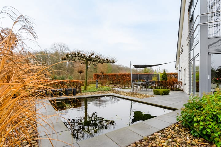 Foto 50 van Rietmaat 13