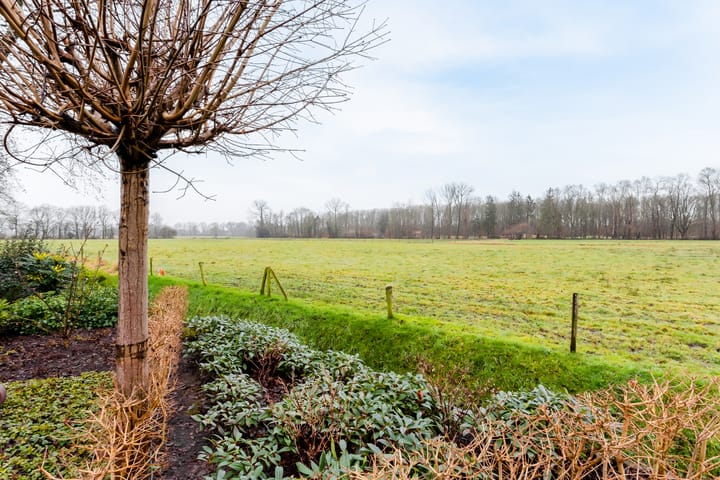 Foto 52 van Rietmaat 13