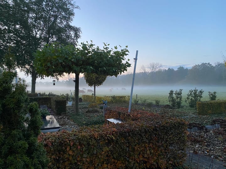 Foto 59 van Rietmaat 13