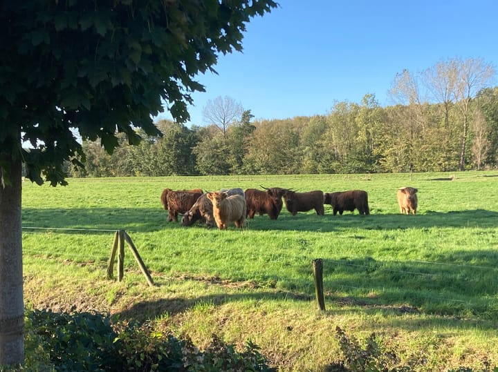 Foto 60 van Rietmaat 13