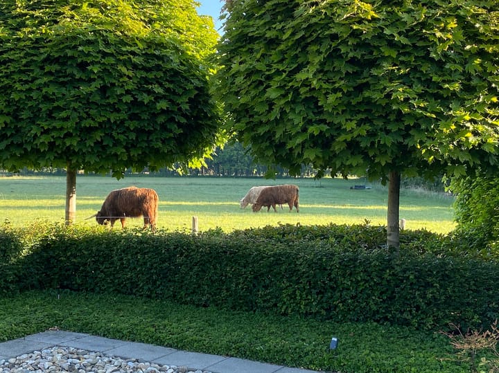 Foto 61 van Rietmaat 13