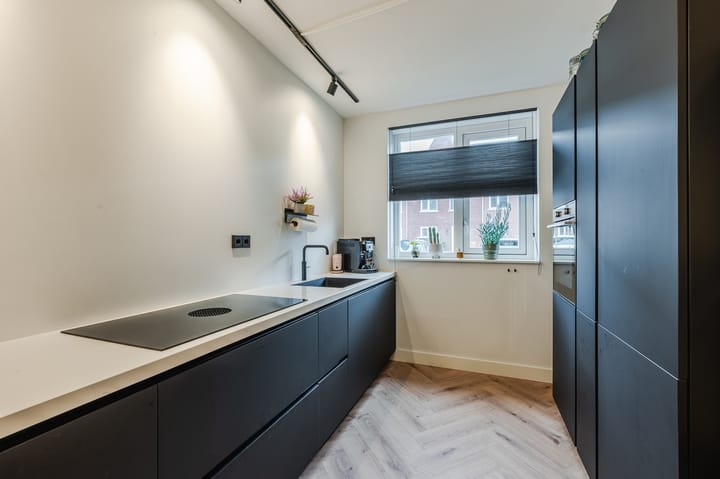 Foto 3 van Penningkruid 50