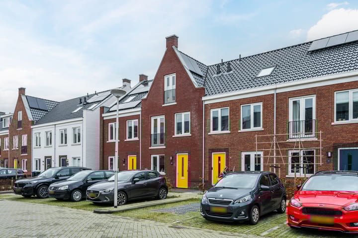 Foto 7 van Penningkruid 50