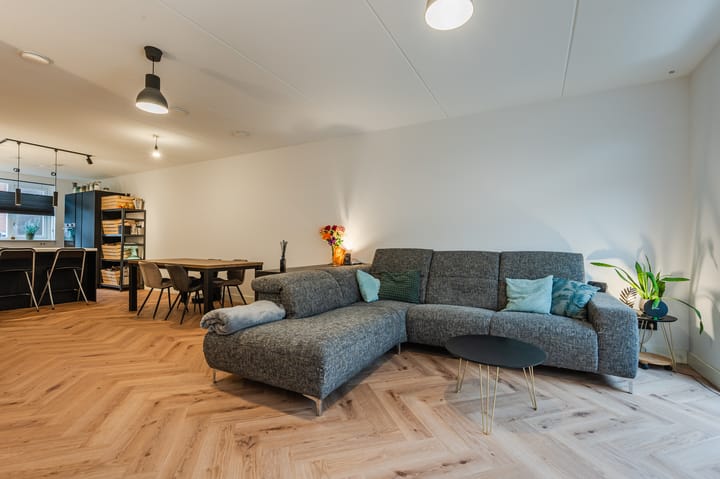 Foto 10 van Penningkruid 50