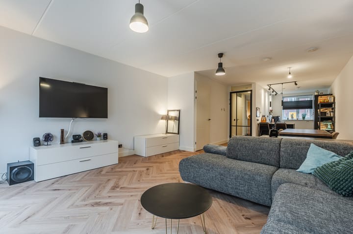 Foto 11 van Penningkruid 50