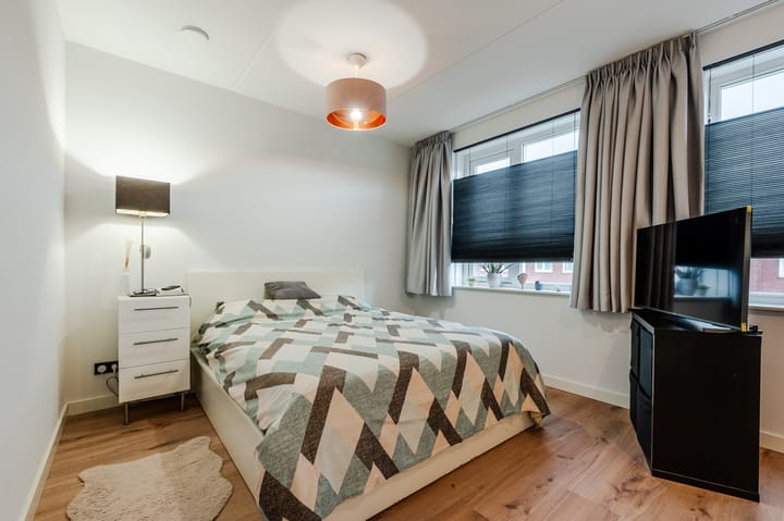 Foto 18 van Penningkruid 50