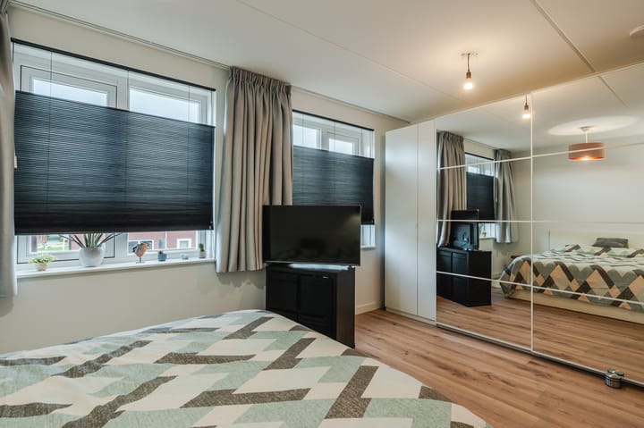 Foto 19 van Penningkruid 50