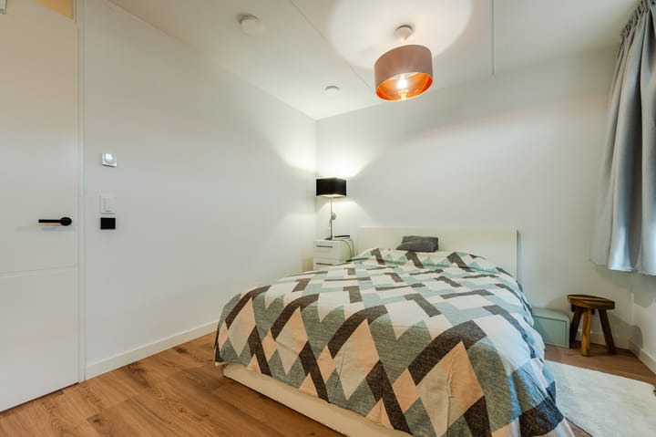 Foto 20 van Penningkruid 50