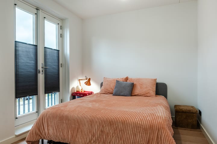 Foto 23 van Penningkruid 50