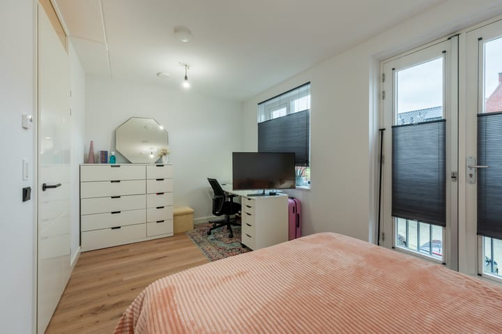 Foto 24 van Penningkruid 50