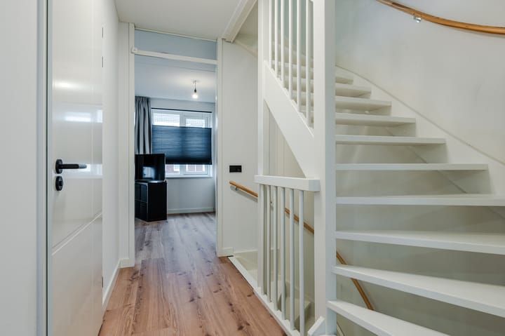 Foto 28 van Penningkruid 50