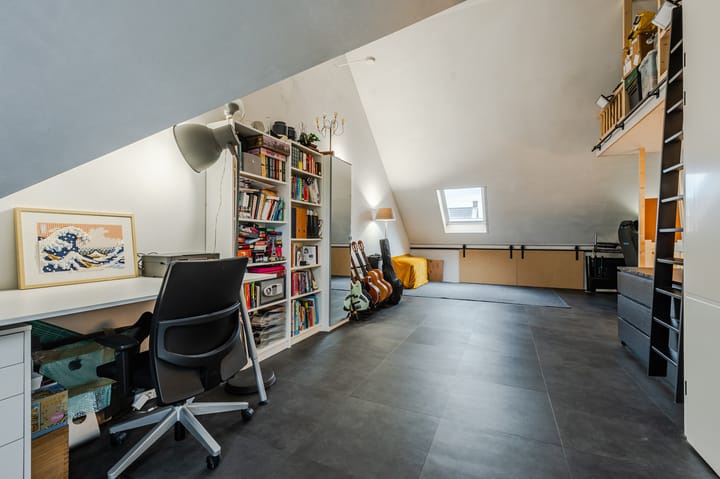 Foto 31 van Penningkruid 50