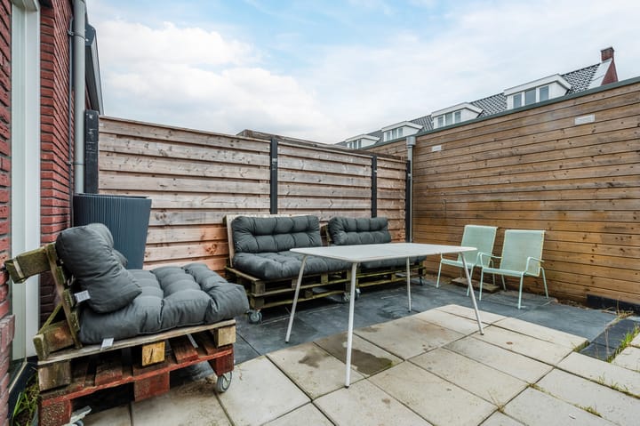 Foto 32 van Penningkruid 50