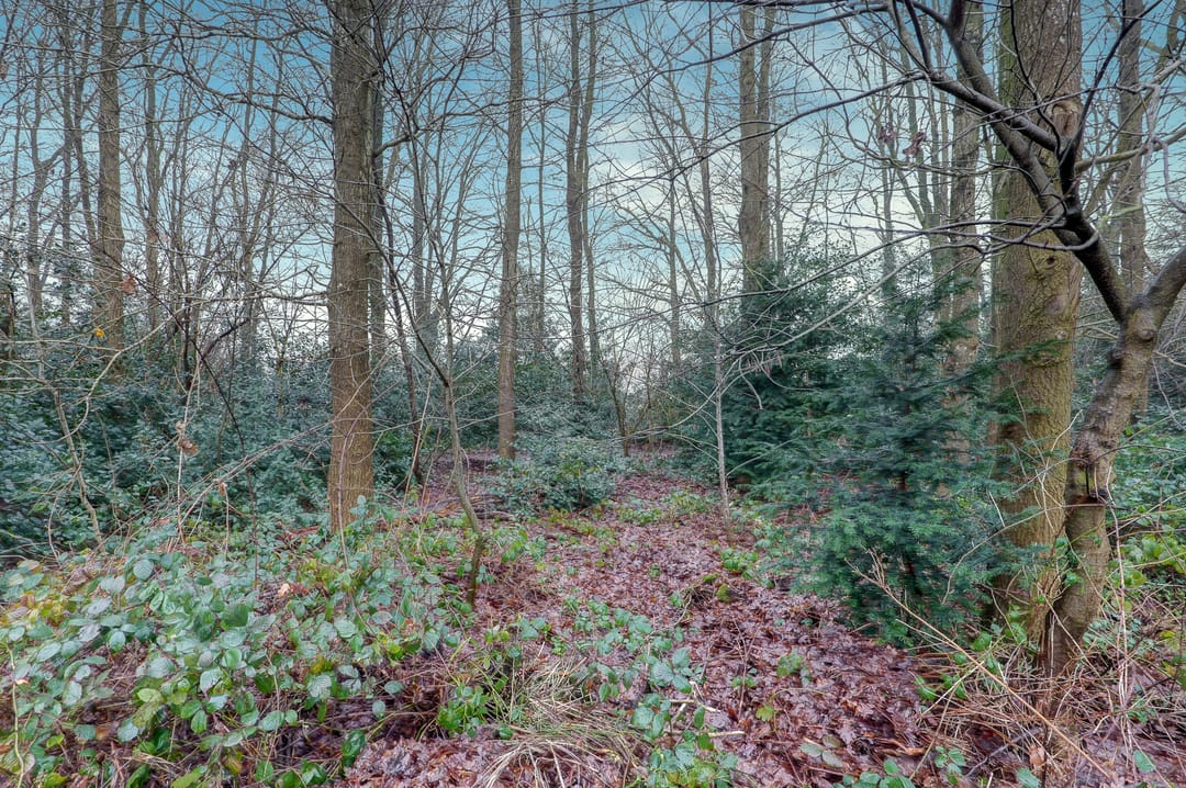 Photo 61 of De Brink 9