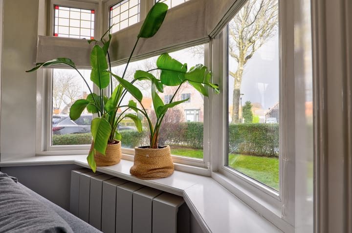 Foto 10 van Westerlaan 29