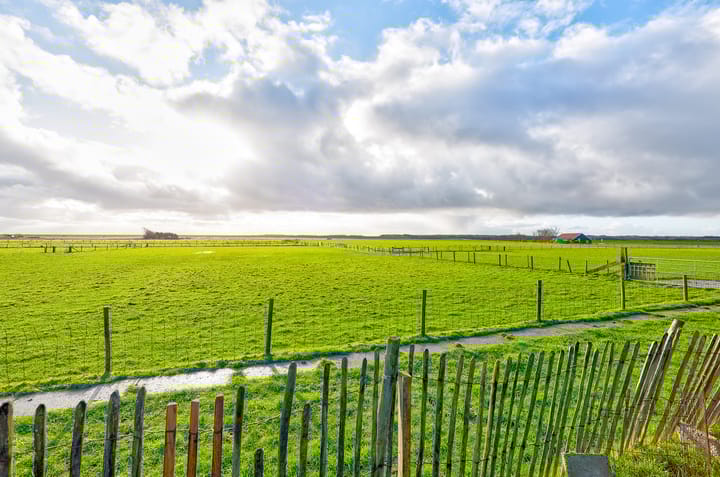 Foto 50 van Westerlaan 29